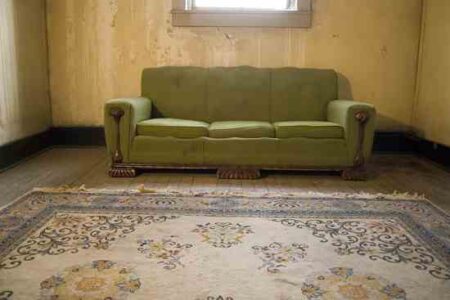 The Ariel Home Initiative: Affordable, Low-Cost Housing Image